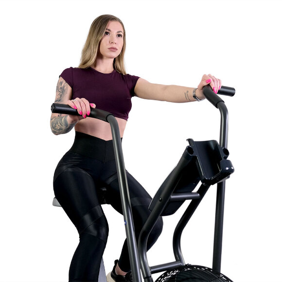 Велотренажер Schwinn Airdyne AD6 Bike, air bike Велотренажер Schwinn Airdyne AD6 Bike, air bike