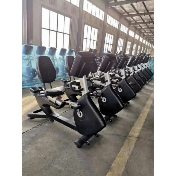 Велотренажер горизонтальный Insight Fitness EB8800 Велотренажер горизонтальный Insight Fitness EB8800